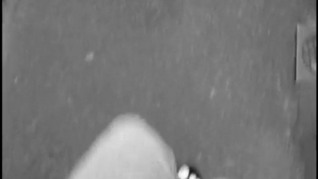 Pieds noirs